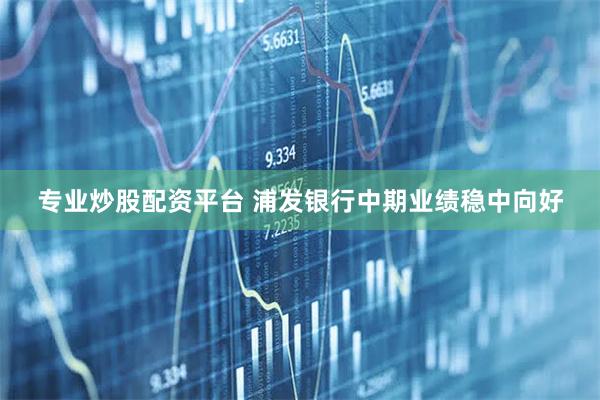 专业炒股配资平台 浦发银行中期业绩稳中向好